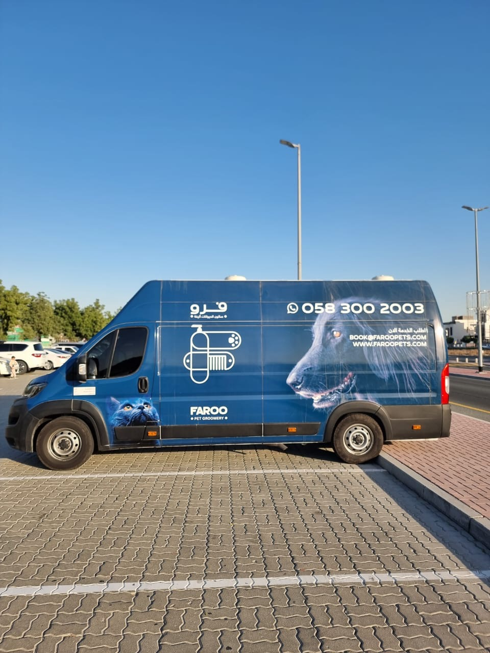 Pet groomer bathing dog in Dubai van