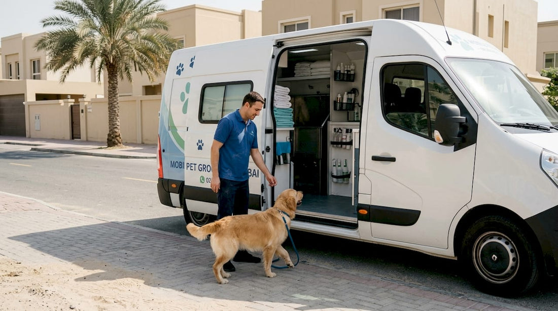 Pet groomer and van outside Dubai homes
