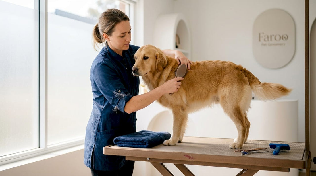 Groomer gently brushing dog in sunlit studio