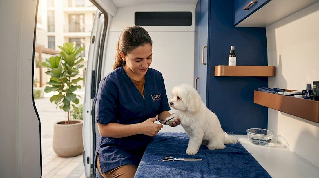 Groomer trims small dog in Dubai mobile van