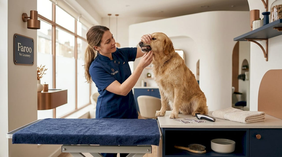 Pet groomer inspecting golden retriever's teeth