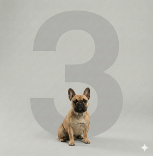 Luxury Full Dog Grooming -Medium (3 sessions)