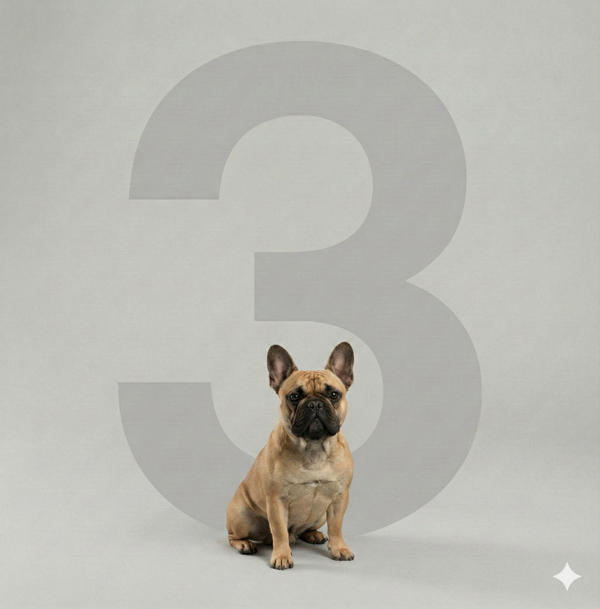 Luxury Full Dog Grooming -Medium (3 sessions)